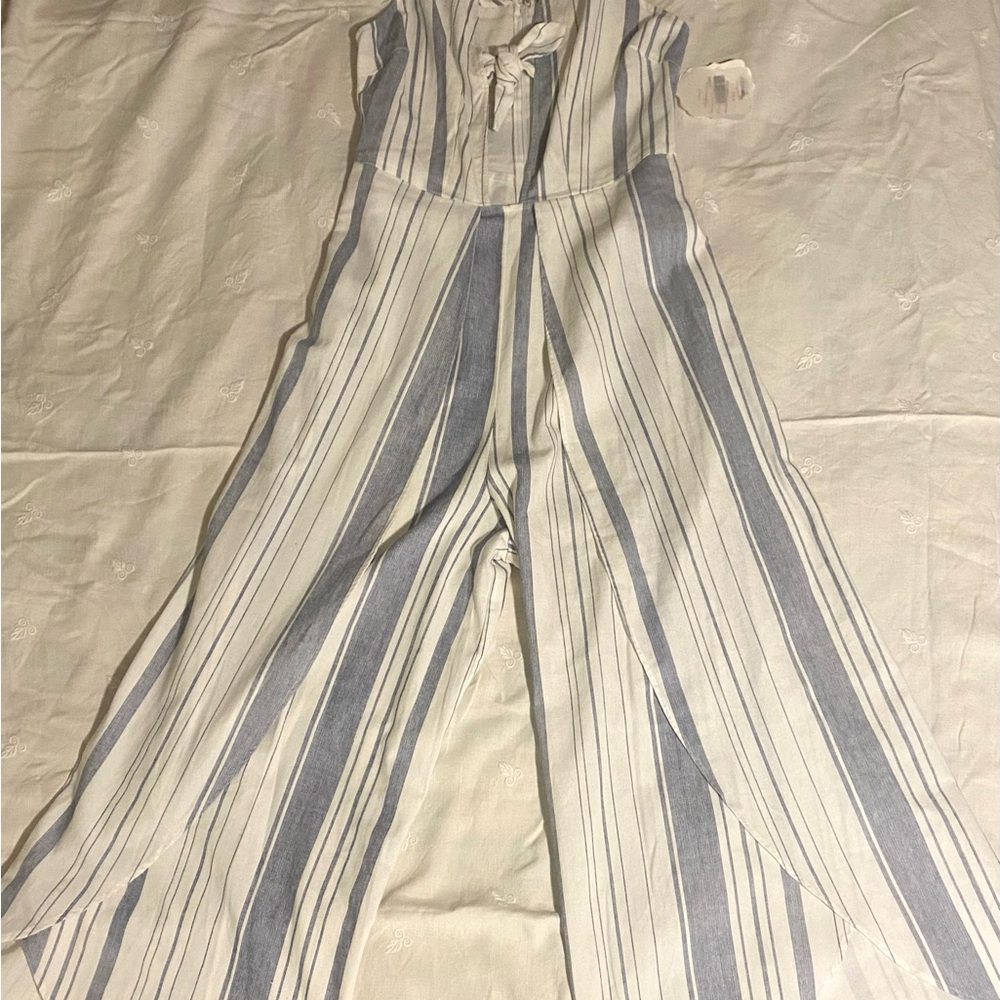 Striped Jumpsuit in Blue and White